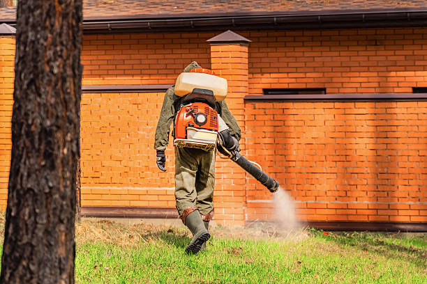 Trusted Bed Bug Control service in Kendallville, IN - Nex Pest Control